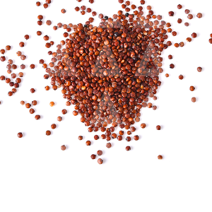 quinua roja granos y semillas superfoods perú anku